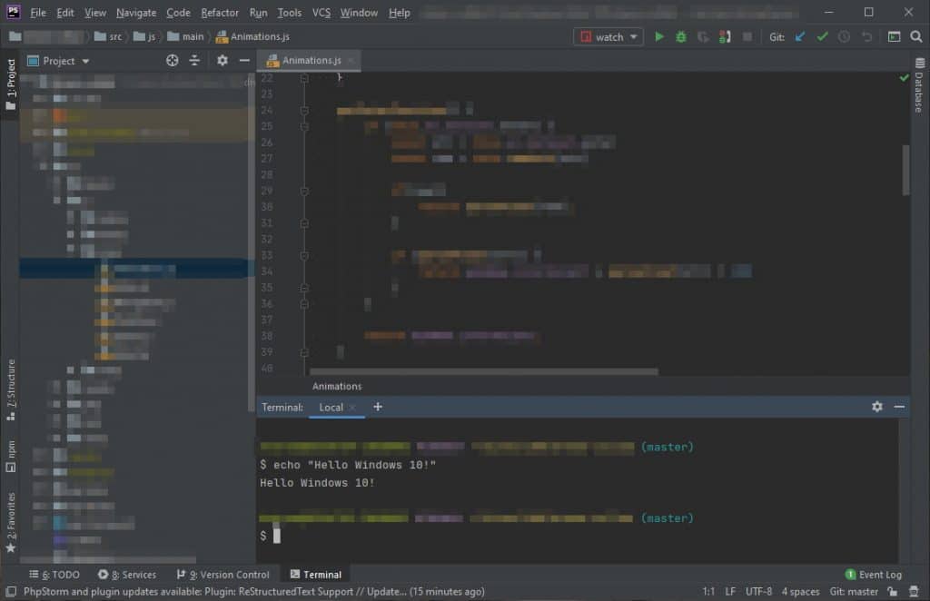 Enable bash terminal in PHPStorm on Windows 10