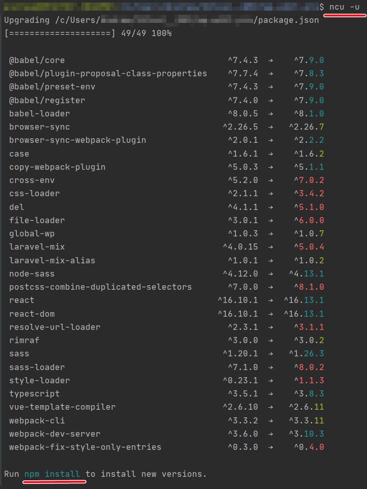 update npm version